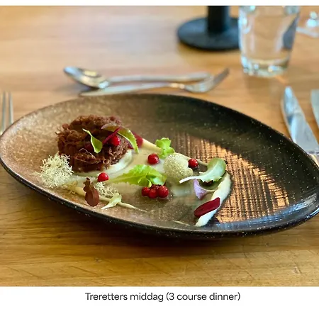Turtagro Hotel Fortun
