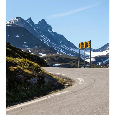 Hotell Turtagro Fortun