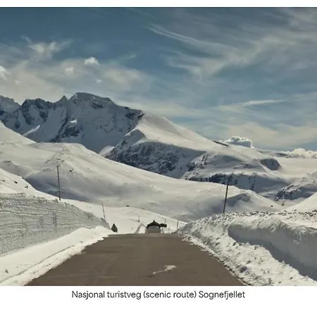 Hotell Turtagro Fortun